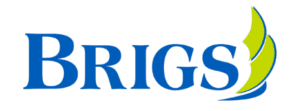 Brigs-logo